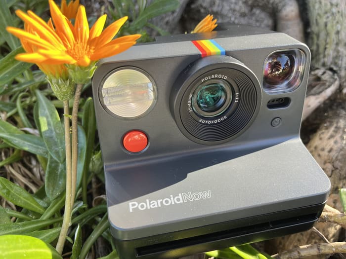 How Many Pictures Can A Polaroid Camera Take