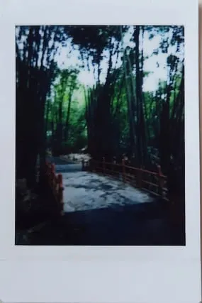 Instax Film Was Exposed To Light