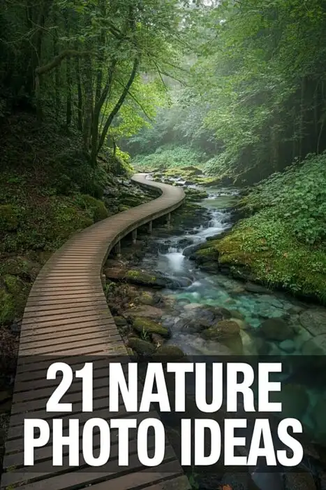 Emerald forest boardwalk beside a turquoise stream for nature photography ideas and outdoor landscape inspiration.