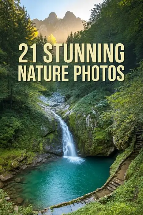 Majestic forest waterfall under golden light, stunning nature photos inspiration for photographers