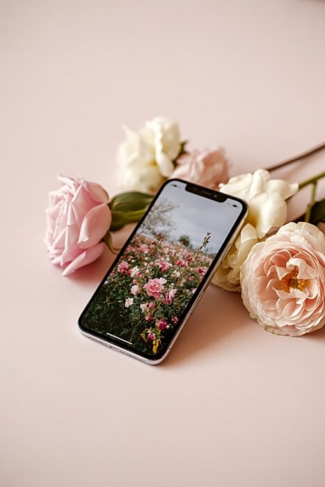 iphone displaying spring photo surrounded by flowers on pastel background