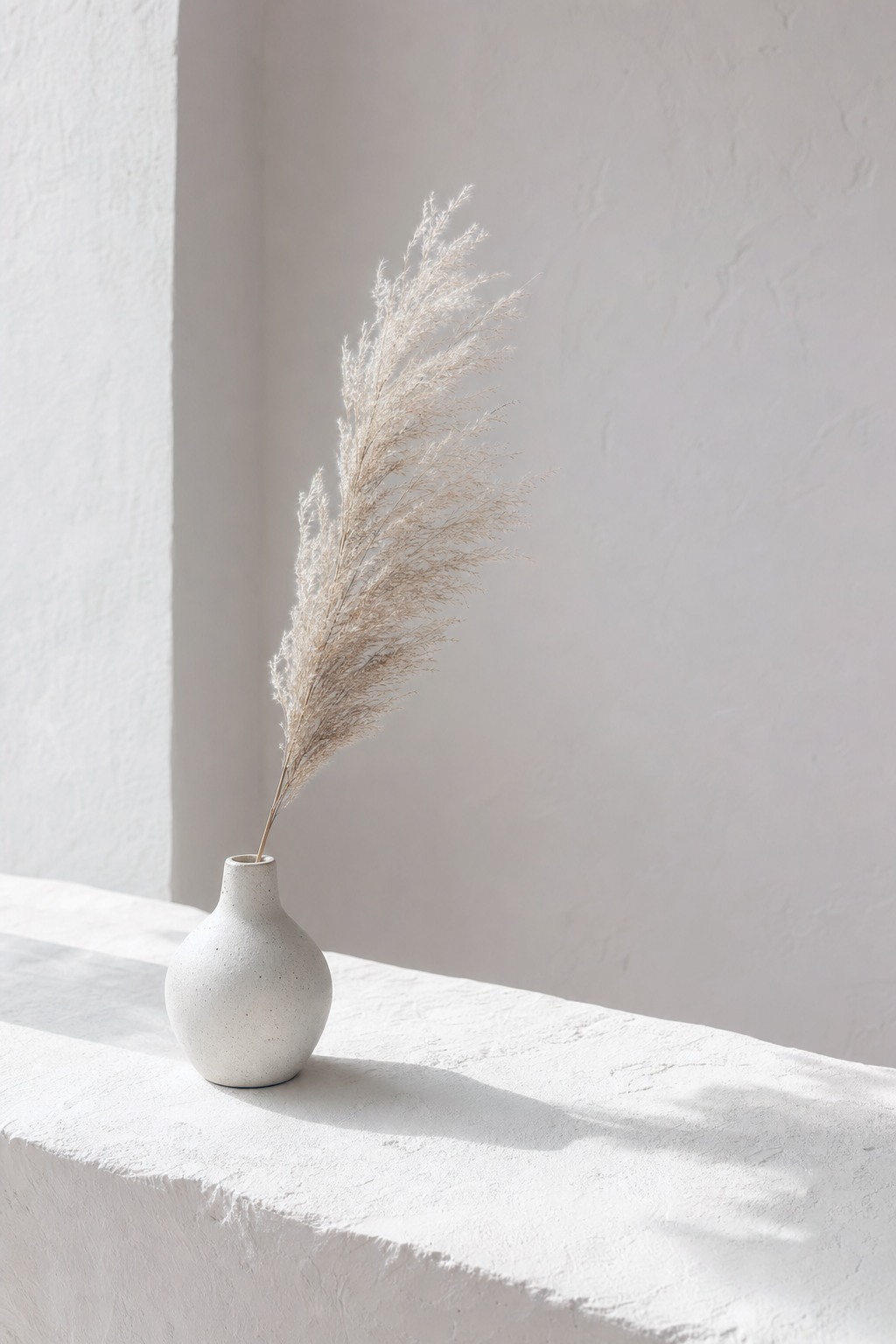 Aesthetic still life photography with single ceramic vase and pampas grass on white plaster surface