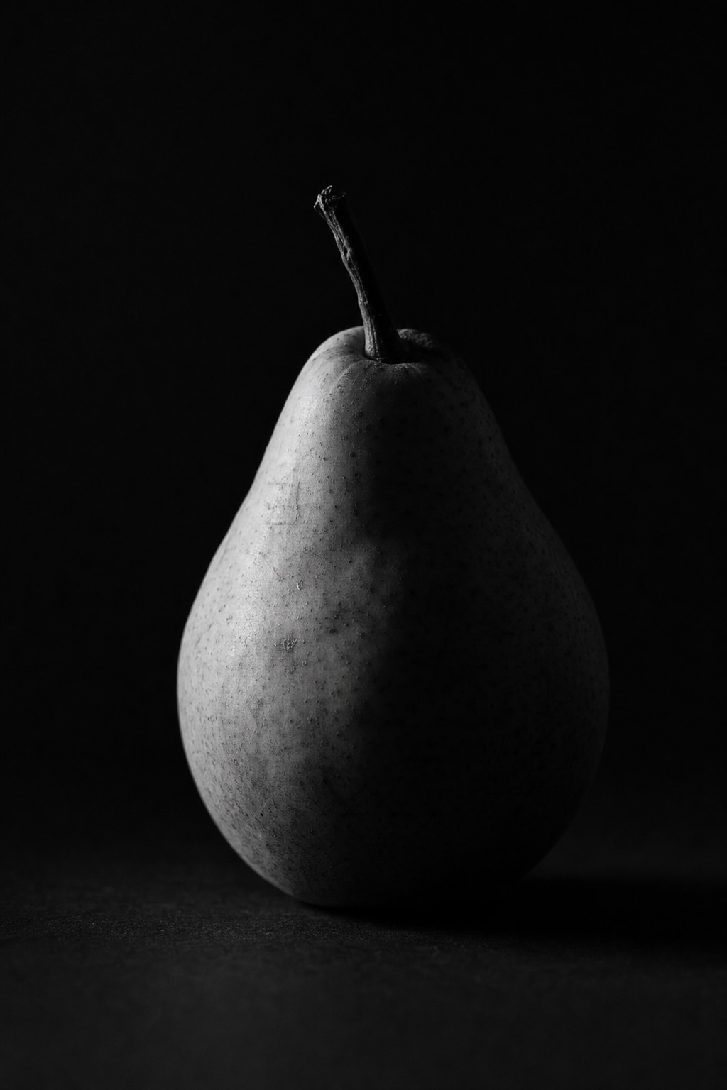 High contrast black and white still life reference photo of a single piece of fruit